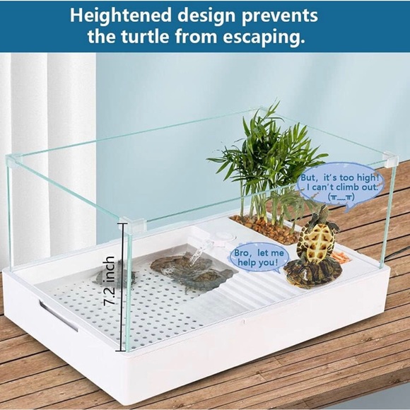 Glass Turtle Tank - Picture 2 of 6